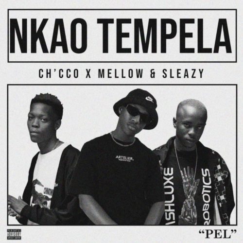Chicco, Mellow & Sleazy – Nkao Tempela