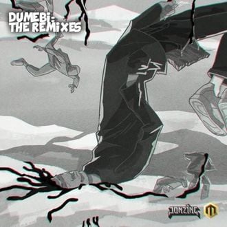 Rema – Dumebi (Vandalized Edit) Feat. Jarreau Vandal