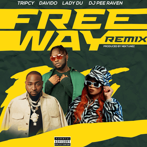 Tripcy, Lady Du, Davido & Nektunez - Freeway (Remix)