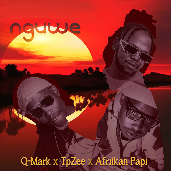 Q-Mark, TpZee & Afriikan Papi - Nguwe (Radio Edit)