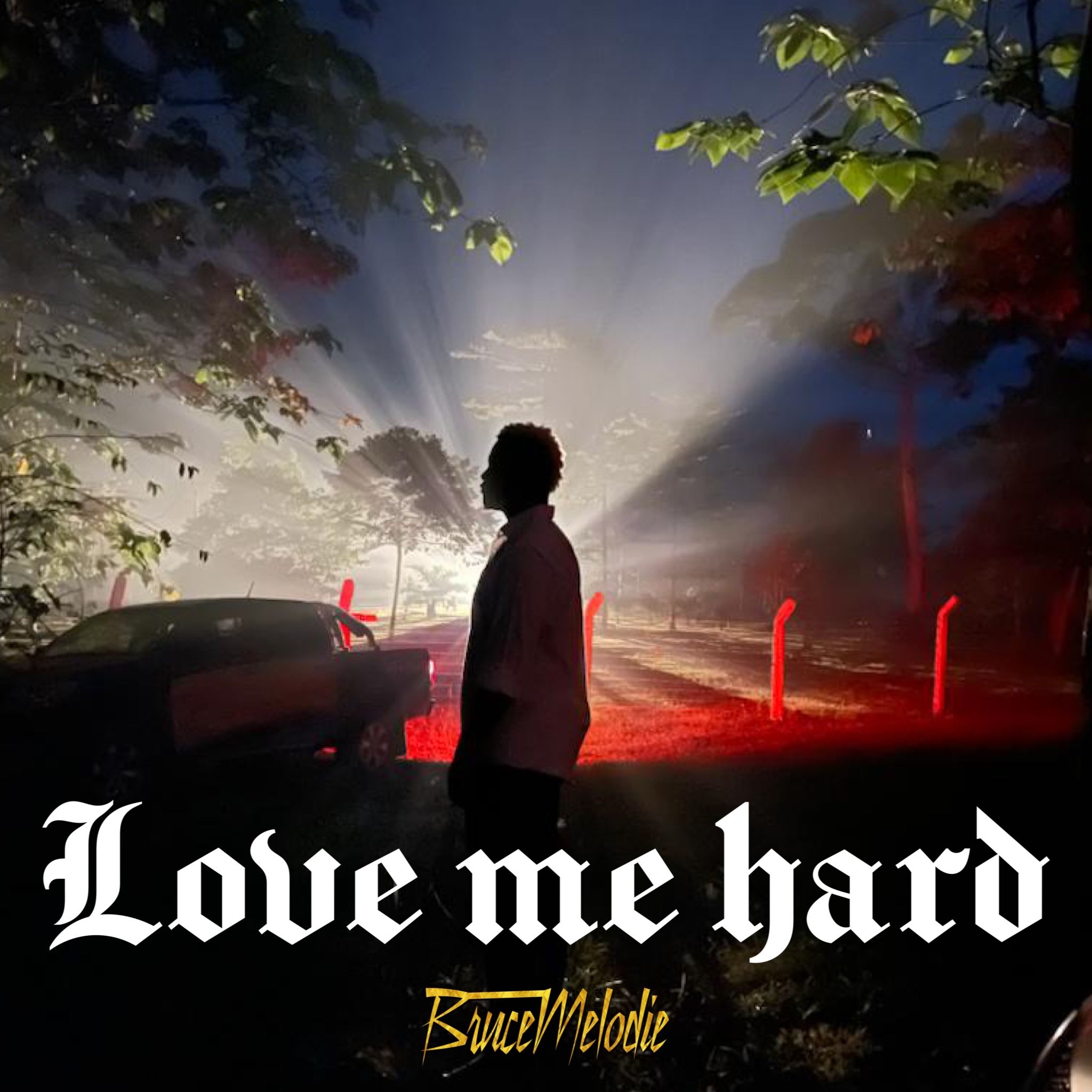 Bruce Melodie - Love me hard