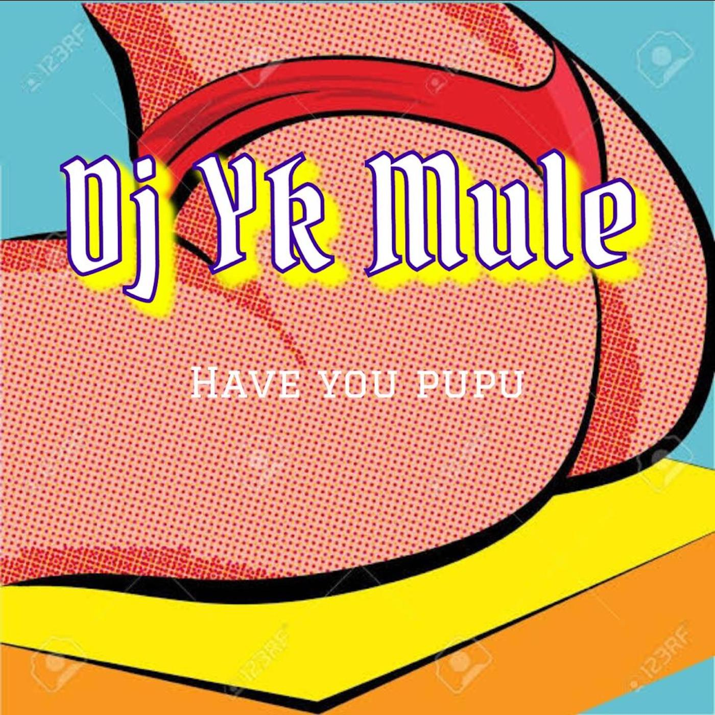 Dj Yk Beats Mule - Have You Pupu