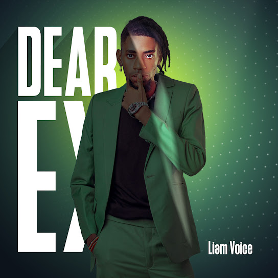Liam Voice - Dear Ex