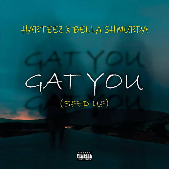 Harteez - Gat you [Speed up] Ft. Bella Shmurda