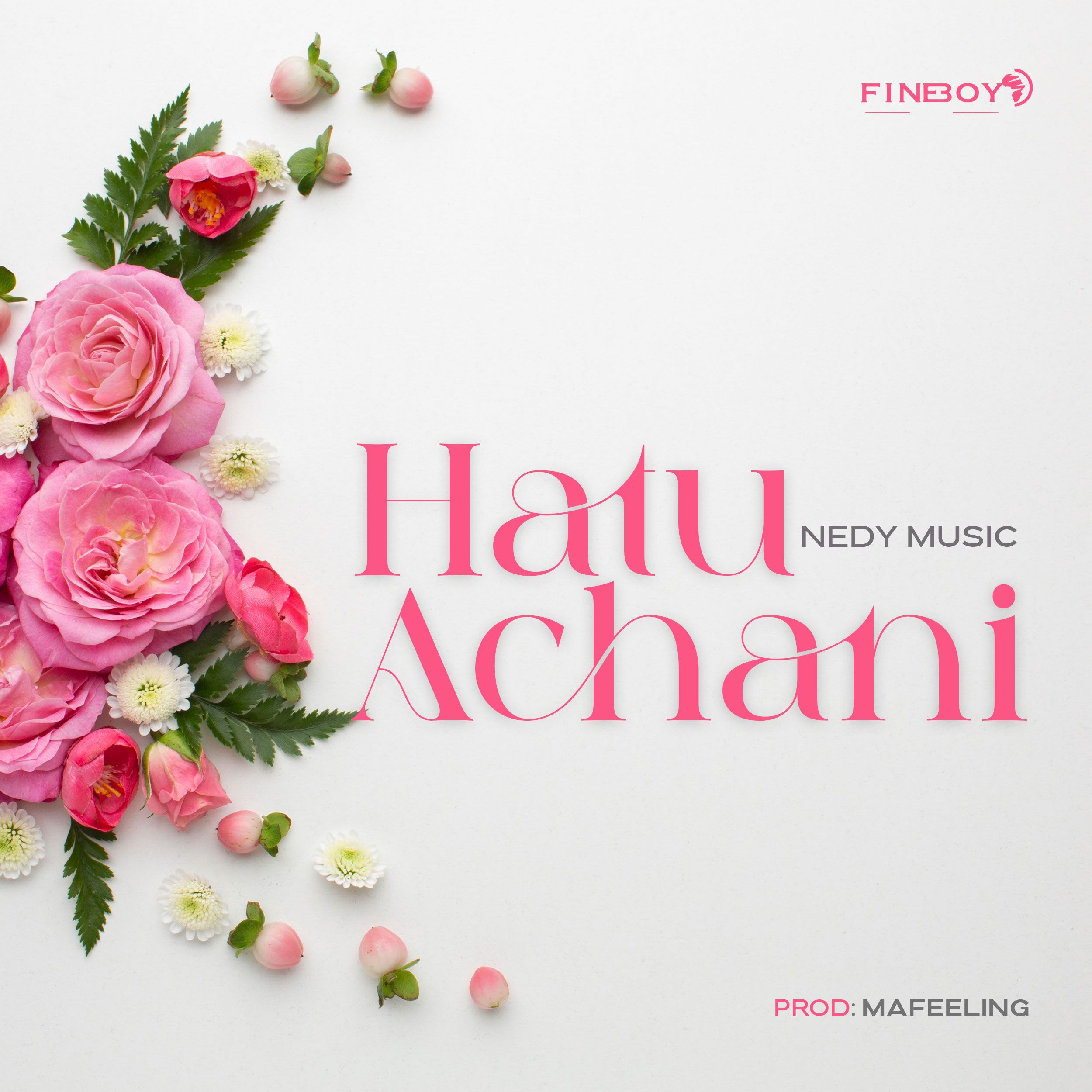 Nedy Music - Hatuachani