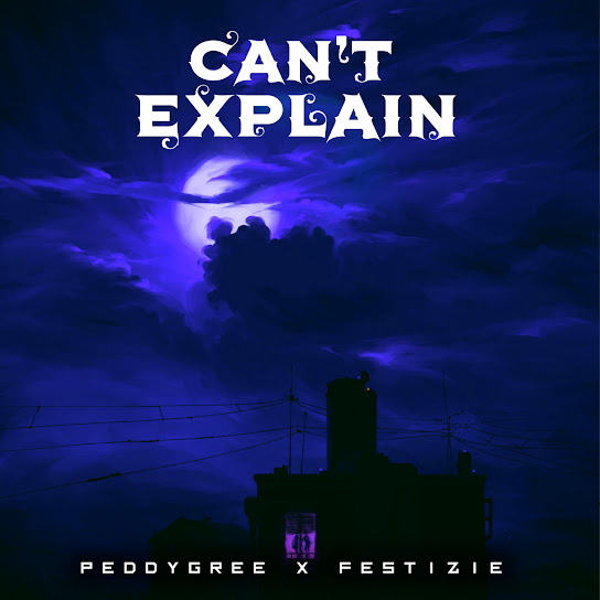 Peddygree - Cant Explain Ft. Festizie