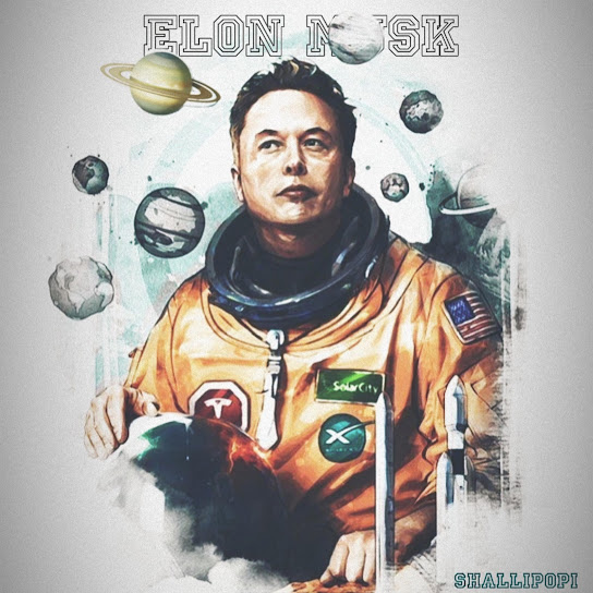 Shallipopi - Elon musk