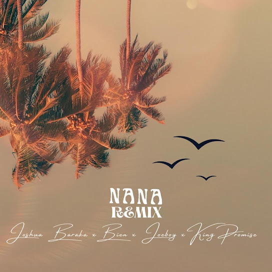 Joshua Baraka - NANA (Remix) Ft. Joeboy, King Promise & Bien