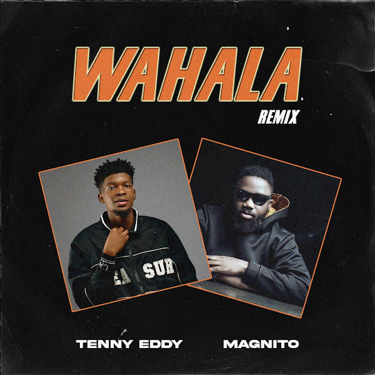 Tenny Eddy - Wahala (Remix) Ft. Magnito