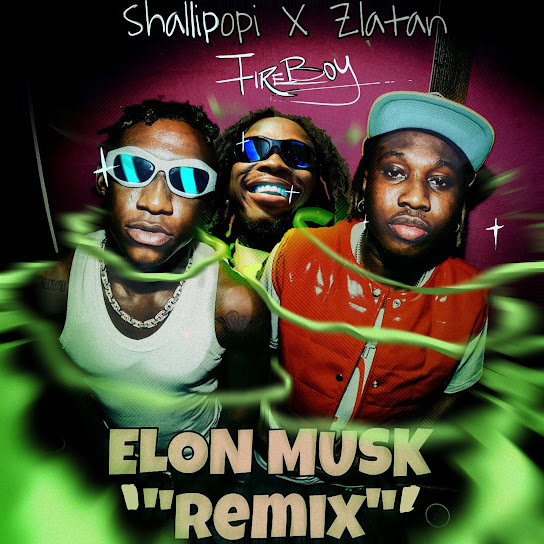 Shallipopi - Elon Musk (Remix) Ft. Fireboy DML & Zlatan