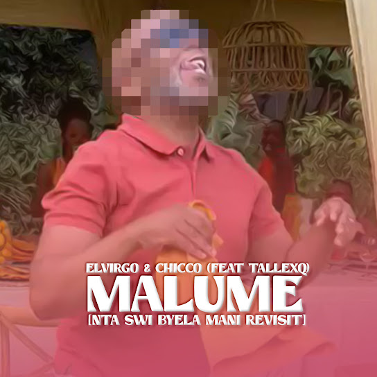 Elvirgo - Malume (Nta Swi Byela Mani Revisit) Ft. TallexQ & Chicco