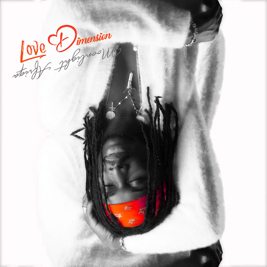 MOONLIGHT AFRIQA - Love Dimension