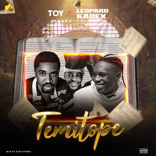 TOY - Temitope Ft. Leopard & Kabex