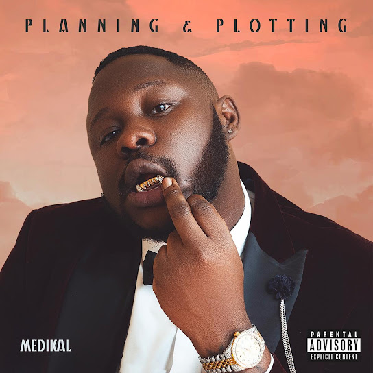 ALBUM: Medikal - Planning & Plotting