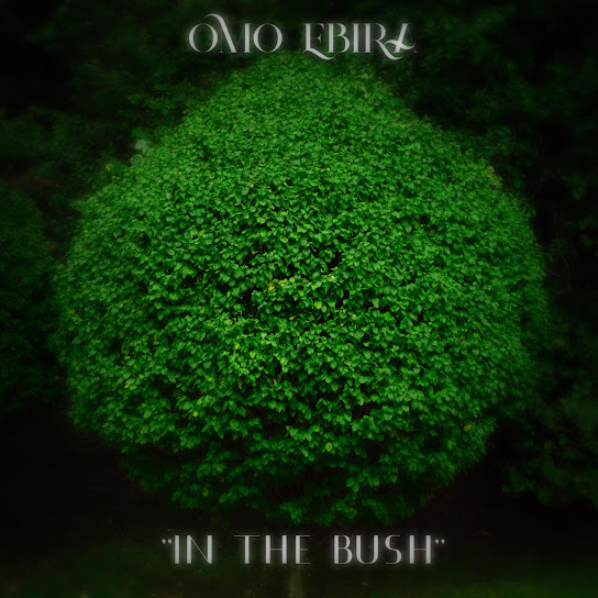 Omo Ebira Beatz - In The Bush