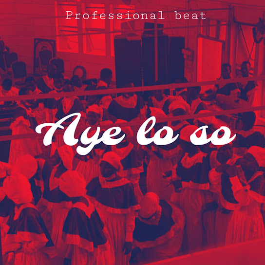 Professional Beat - Aye lo so (mara)