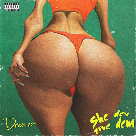 Dremo - She Dey Give Dem